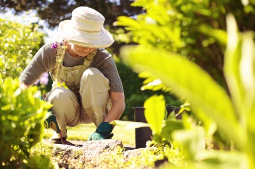 Garden clearance and debris removal in a terraced garden