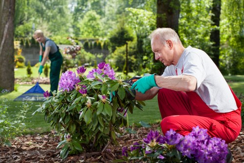 Electric van used for low-carbon garden waste collections