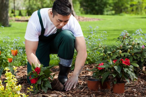 Gardener pruning plants in Bounds Green