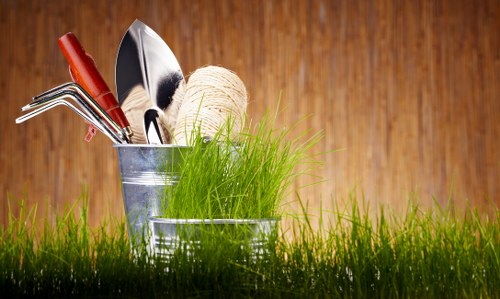 Summer garden with drip irrigation system