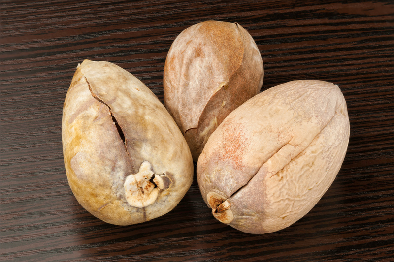 lawn care irrigation system